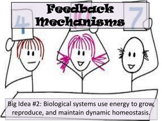 Feedback Mechanisms