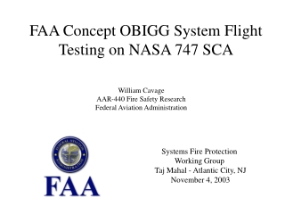 Systems Fire Protection Working Group  Taj Mahal - Atlantic City, NJ  November 4, 2003