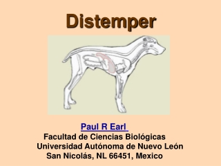 Distemper