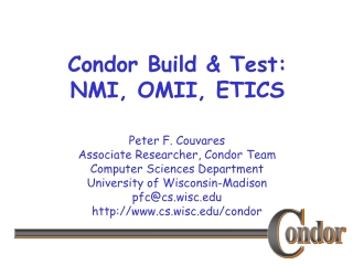 Condor Build &amp; Test: NMI, OMII, ETICS