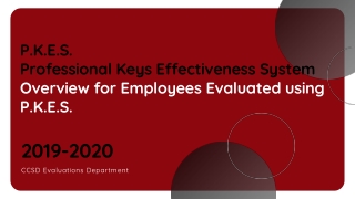 P.K.E.S.  Professional Keys Effectiveness System Overview for Employees Evaluated using P.K.E.S.