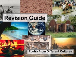 Revision Guide