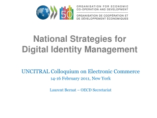 National Strategies for  Digital Identity Management