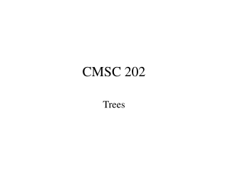 CMSC 202