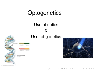 Optogenetics