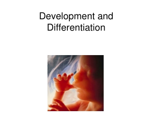 Development and Differentiation