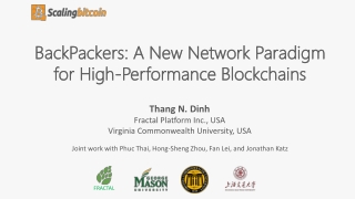 BackPackers : A New Network Paradigm  for High-Performance Blockchains