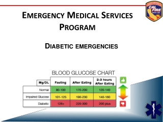 Emergency Medical Services Program