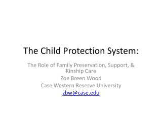 The Child Protection System: