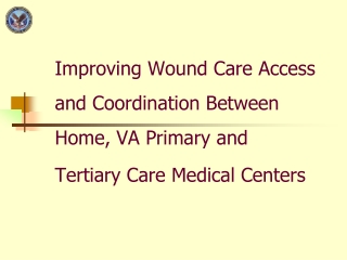 VISN 11 Wound Care Teleconsultation Program  Julie Lowery, PhD and  Leah Gillon, MSW