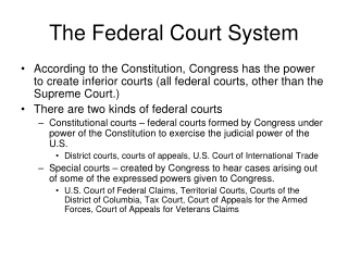 The Federal Court System