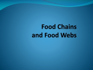 Food Chains  and Food Webs