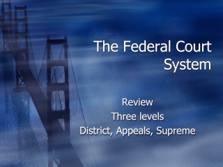 The Federal Court System