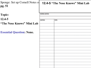 Sponge: Set up Cornell Notes on  pg. 51 Topic:  12.4-5  “The Nose Knows” Mini Lab