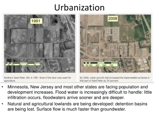 Urbanization