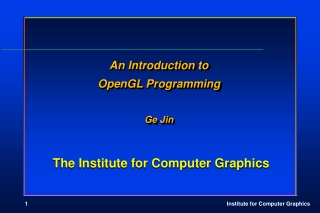 The Institute for Computer Graphics