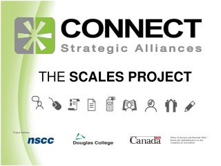 THE  SCALES PROJECT