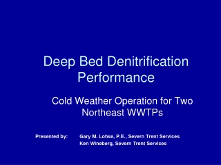 Deep Bed Denitrification Performance