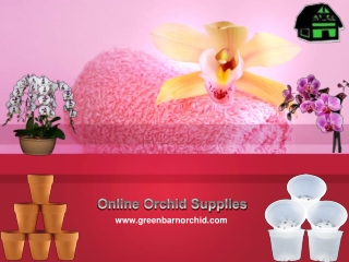 Online Orchid Supplies - Green Barn Orchid