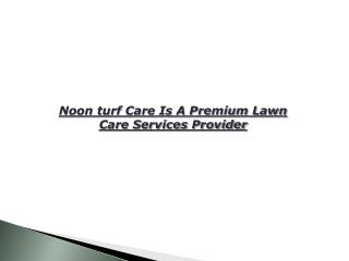 Noon Turf Care Reviews