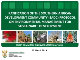SELECT  COMMITTEE ON ENVIRONMENTAL  AFFAIRS 05 March 2019