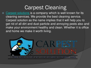 Best carpet cleaning services in Brisbane