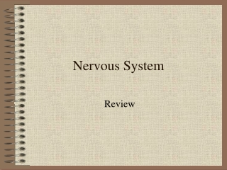 Nervous System