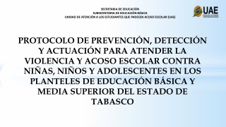 SECRETARIA DE EDUCACIÓN SUBSECRETARIA DE EDUCACIÓN BÁSICA