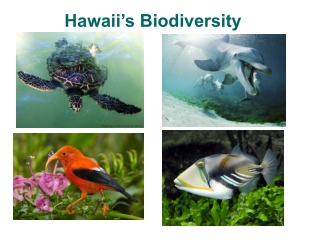 Hawaii’s Biodiversity