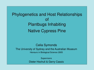 Phylogenetics and Host Relationships  of  Plantbugs Inhabiting  Native Cypress Pine