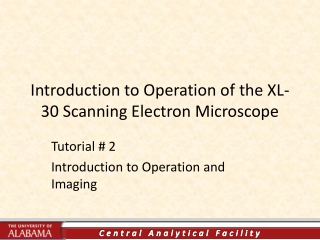 Introduction to Operation of the XL-30 Scanning Electron Microscope