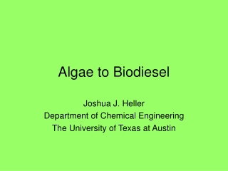 Algae to Biodiesel