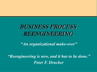 BUSINESS PROCESS REENGINEERING