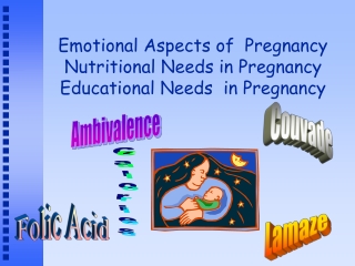 Emotional Aspects of  Pregnancy Nutritional Needs in Pregnancy Educational Needs  in Pregnancy