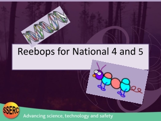 Reebops  for National 4 and  5