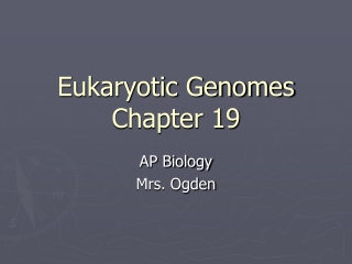 Eukaryotic Genomes Chapter 19