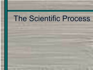 The Scientific Process