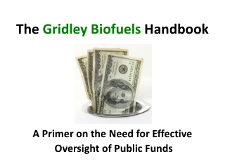 A Primer on the Need for Effective  Oversight of Public Funds