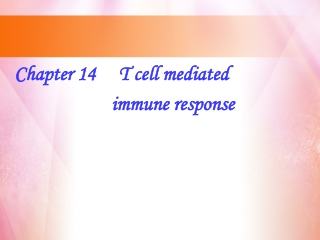 Chapter 14     T cell mediated                       immune response