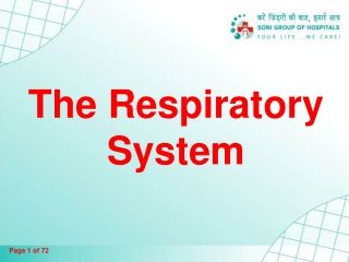 The Respiratory System