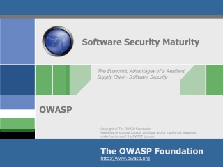 Software Security Maturity