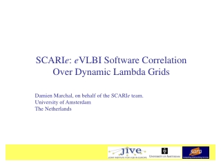 SCARI e :  e VLBI Software Correlation  Over Dynamic Lambda Grids