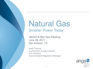 Natural Gas Smarter Power Today NASUCA Mid-Year Meeting  June 28, 2011 San Antonio, TX
