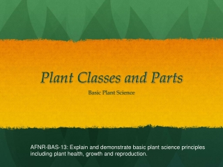 Plant Classes and Parts