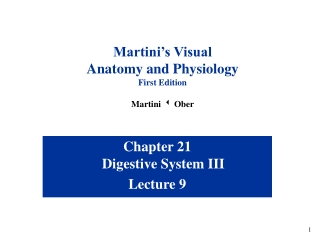 Chapter 21 Digestive System III Lecture 9