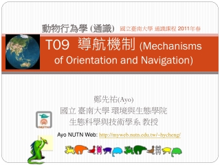 T09   導航機制  (Mechanisms of Orientation and Navigation)
