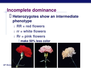 Incomplete dominance