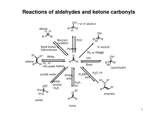 Reactions of aldehydes and ketone carbonyls