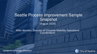 Seattle Process Improvement Sample Snapshot