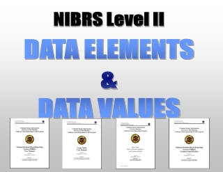 DATA ELEMENTS &amp; DATA VALUES